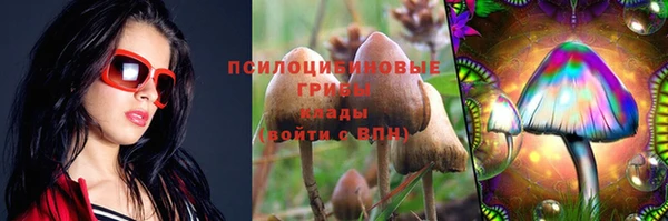 мяу мяу мука Медвежьегорск
