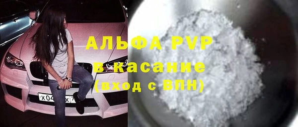 прущие грибы Магадан
