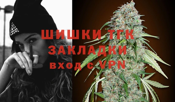 прущие грибы Магадан