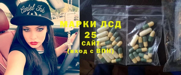 прущие грибы Магадан