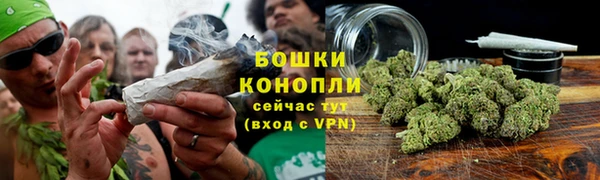 прущие грибы Магадан