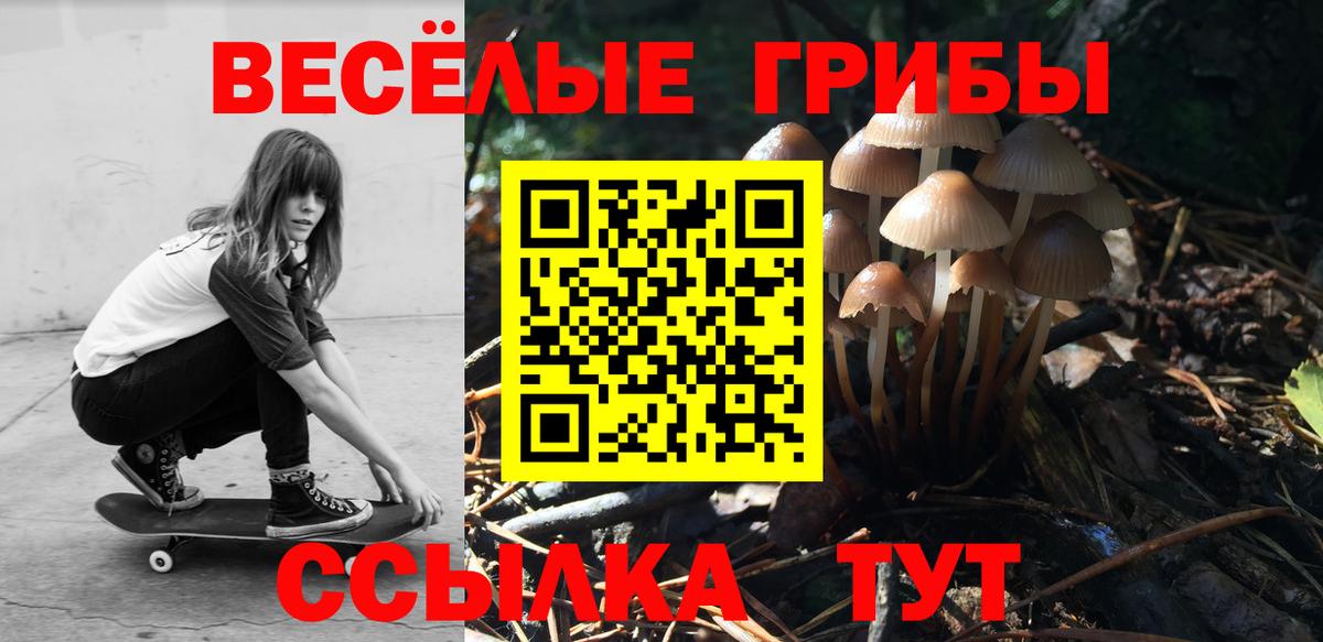 Псилоцибиновые грибы GOLDEN TEACHER Когалым