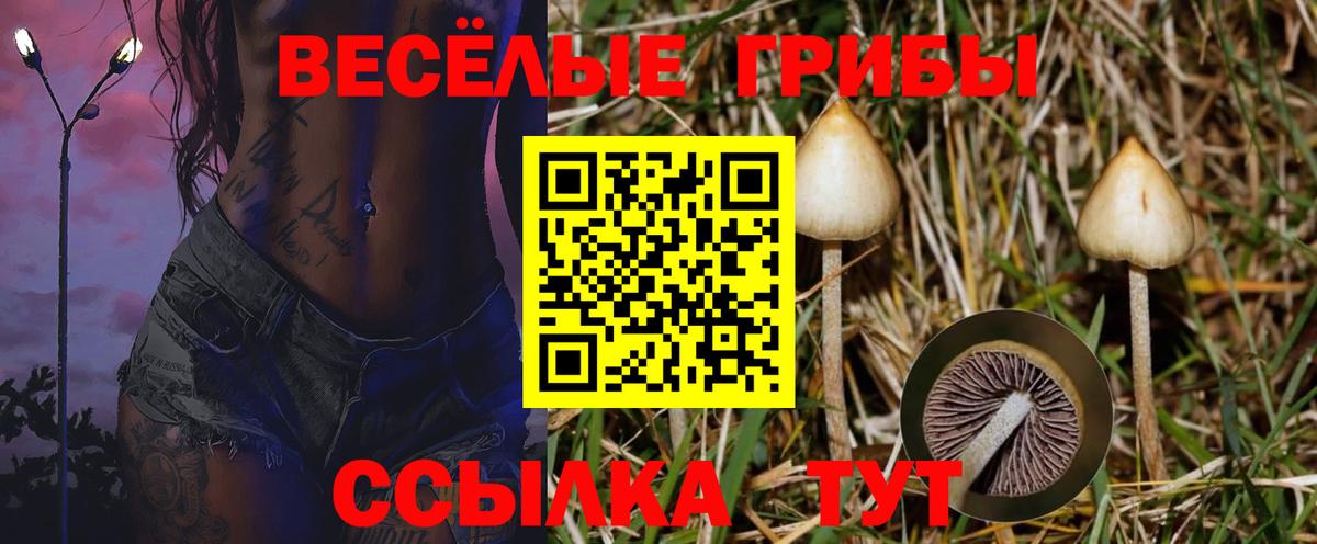 купить закладку  Псилоцибиновые грибы мухоморы  Вход с VPN  Когалым 