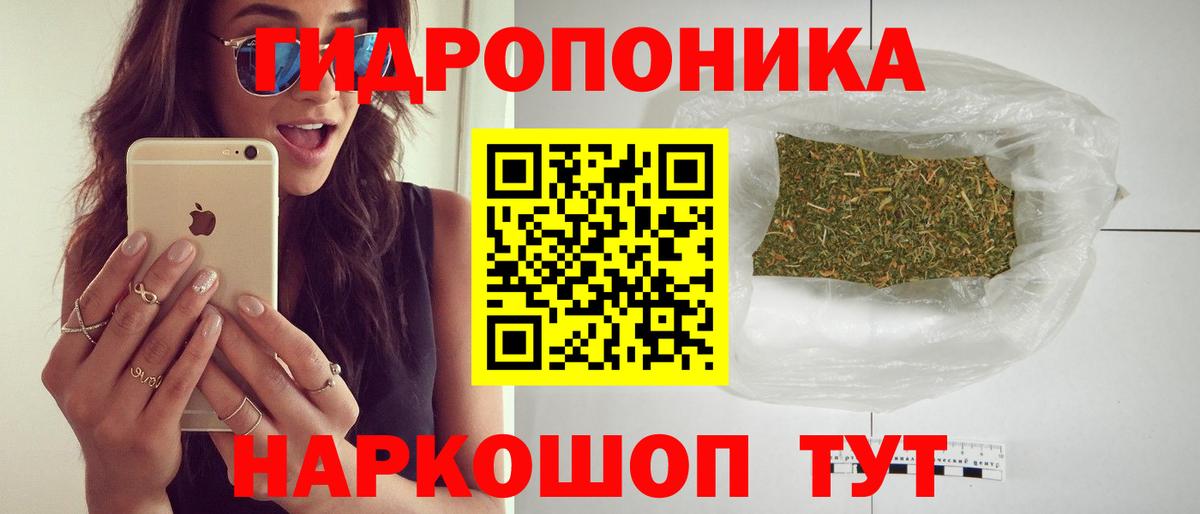 Каннабис конопля Когалым